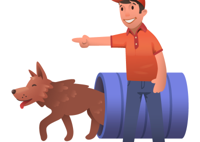 Parc d'agility pour chien