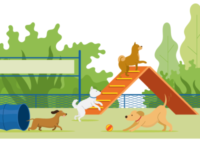 Parc de loisirs canin