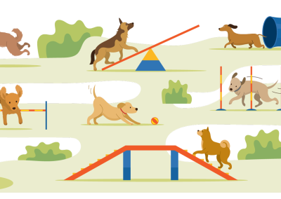 Parc de loisirs chien