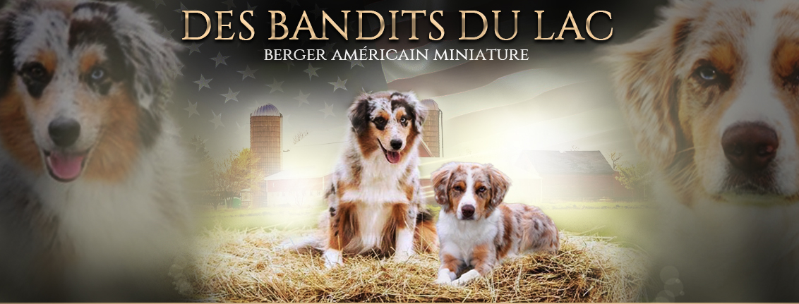 Les bandits du lac Les bandits du lac